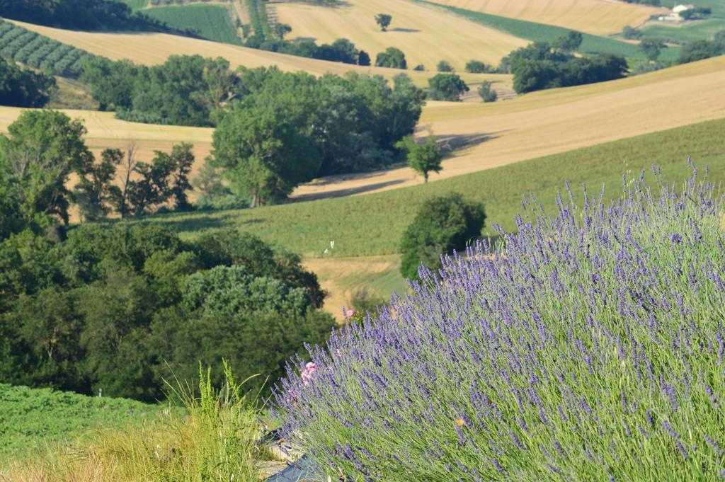 Villa Agriturismo Tenuta Belvedere à Belvedere Ostrense Extérieur photo